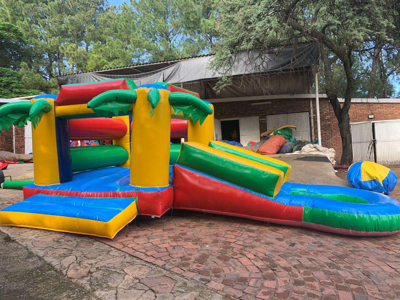 Slide with Palm Trees